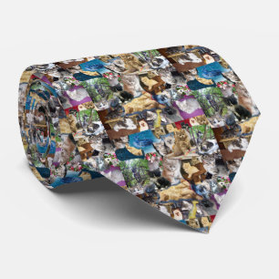 Kitten Photo Collarge Slips