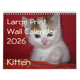 Kitten Photo Wall Calendar 2026 Kalender