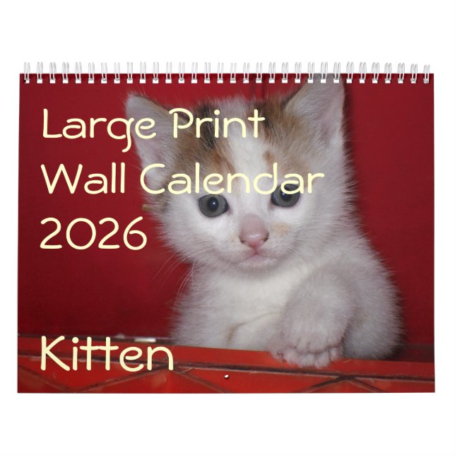 Kitten Photo Wall Calendar 2026 Kalender (Omslag)