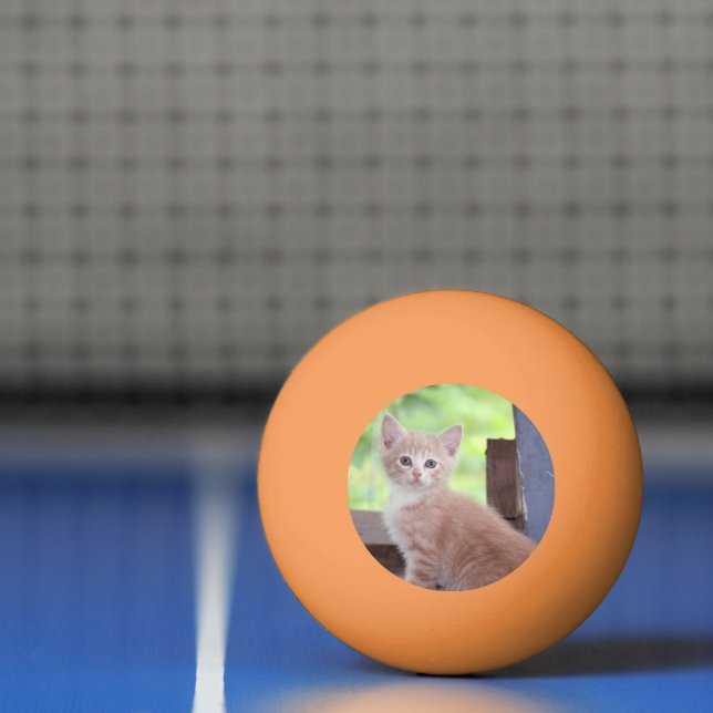 Kitten Pingisboll (Netto)