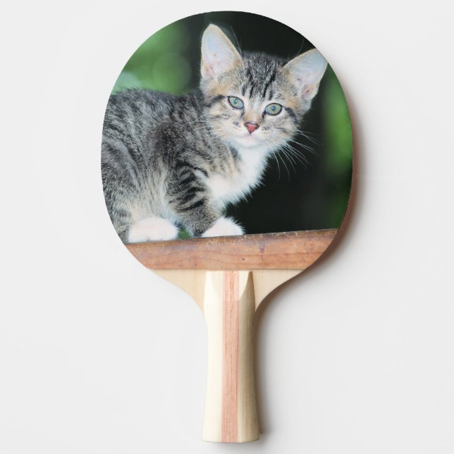 Kitten Pingisracket (Framsidan)