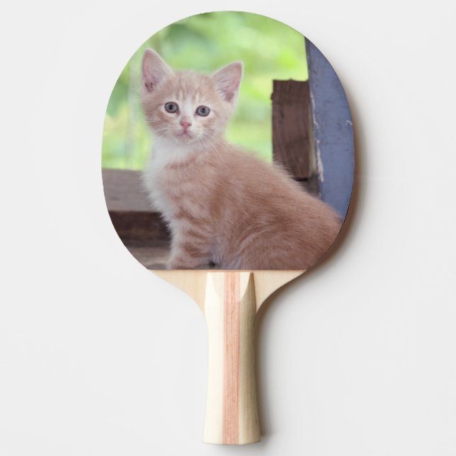 Kitten Pingisracket (Framsidan)