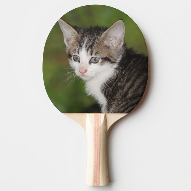 Kitten Pingisracket (Framsidan)