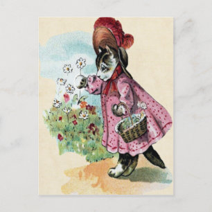 Kitten Postcard Vykort