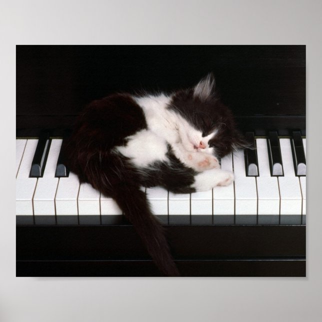 Kitten Poster (Framsidan)