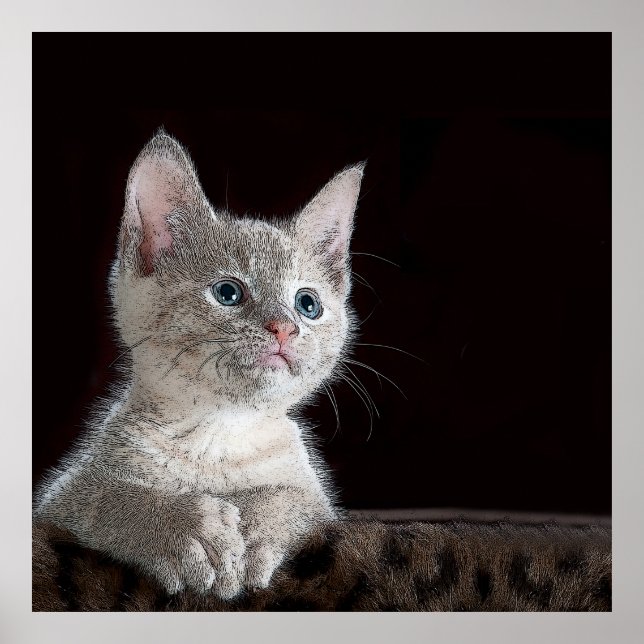 Kitten Poster (Framsidan)