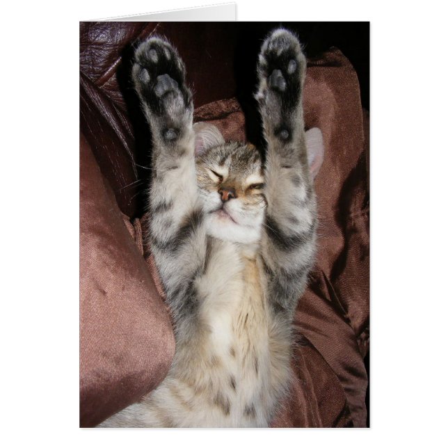 Kitten Power Card Hälsningskort (Framsidan)