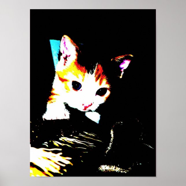 Kitten Print Poster (Framsidan)