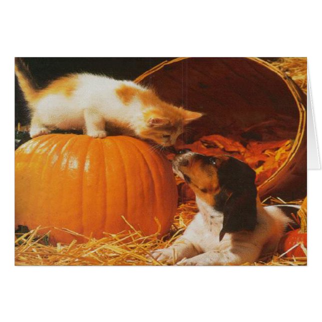 Kitten, Pumpkin och Puppy Hälsningskort (Framsidan Horizontal)