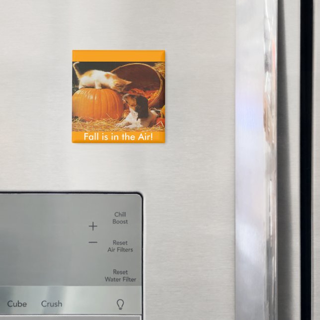 Kitten, Pumpkin och Puppy Magnet (In Situ (Fridge))