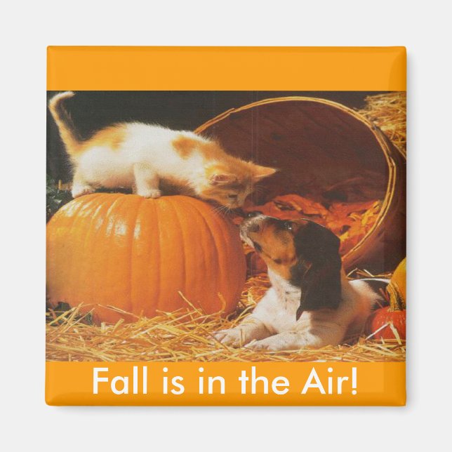 Kitten, Pumpkin och Puppy Magnet (Framsidan)