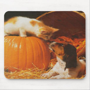 Kitten, Pumpkin och Puppy Mousepad Musmatta