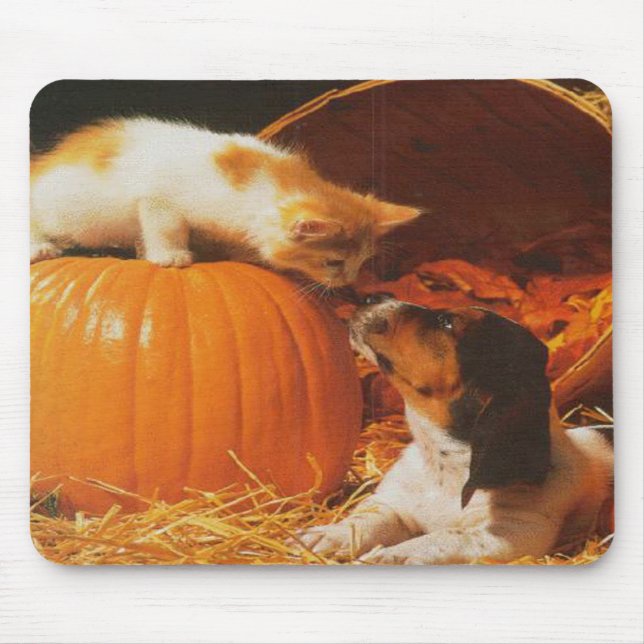Kitten, Pumpkin och Puppy Mousepad Musmatta (Framsidan)