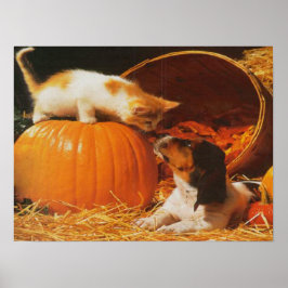 Kitten, Pumpkin och Puppy Print Poster