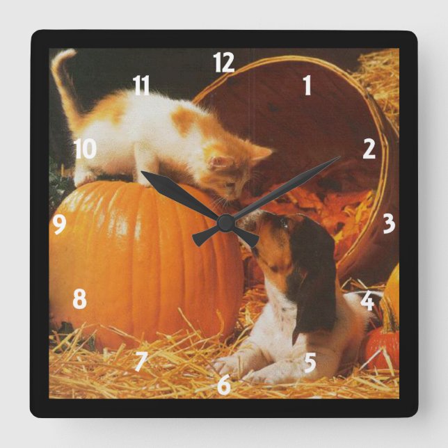Kitten, Pumpkin och Puppy Wall Clock Fyrkantig Klocka (Framsida)