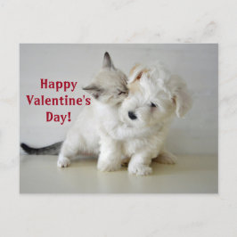 Kitten Puppy Valentines vykort på dagen