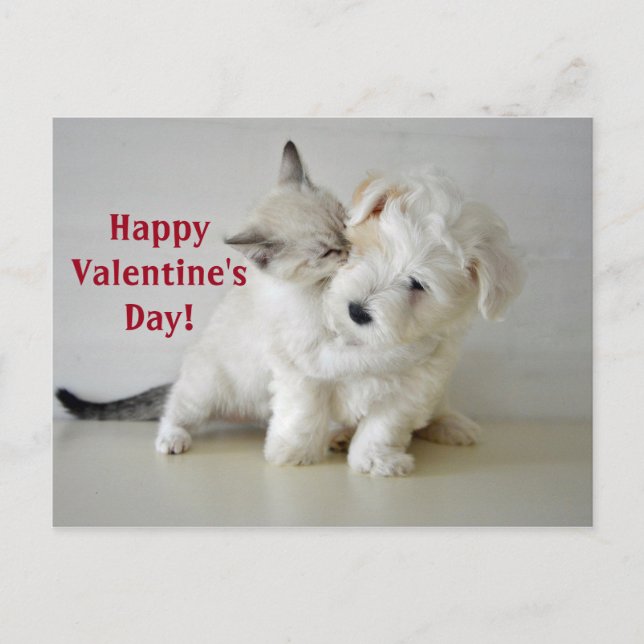 Kitten Puppy Valentines vykort på dagen (Framsida)