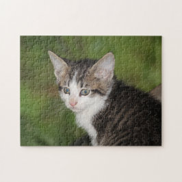 Kitten Pussel