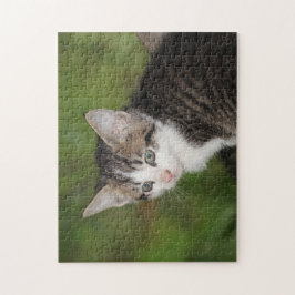 Kitten Pussel
