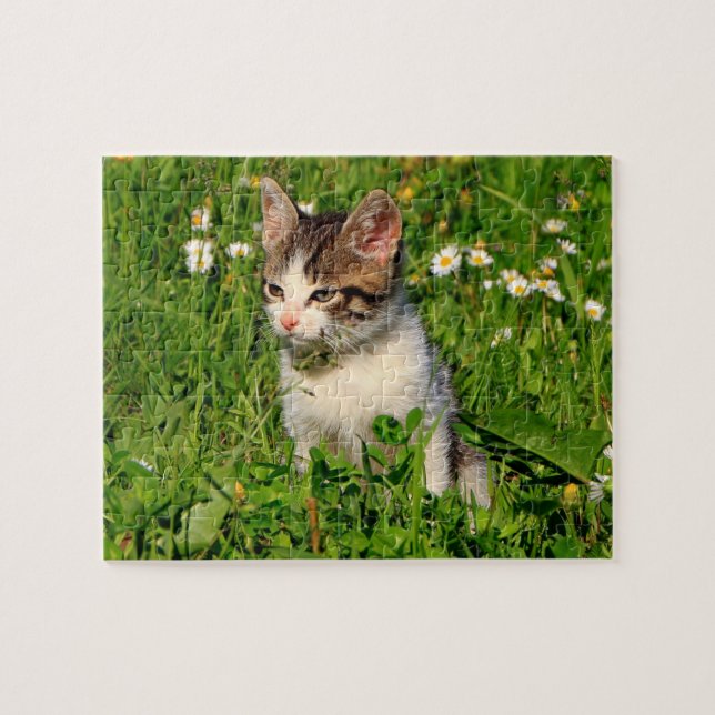 Kitten Puzzle Pussel (Horisontell)