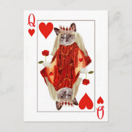 Kitten Queen of Hearts Postcard Vykort