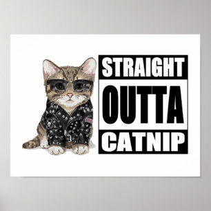 Kitten Rak Outta Catnip Poster