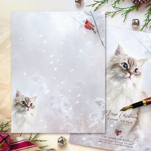 Kitten & Red Kardinal i Snö - 8,5 x 11-tumsfack Brevhuvud