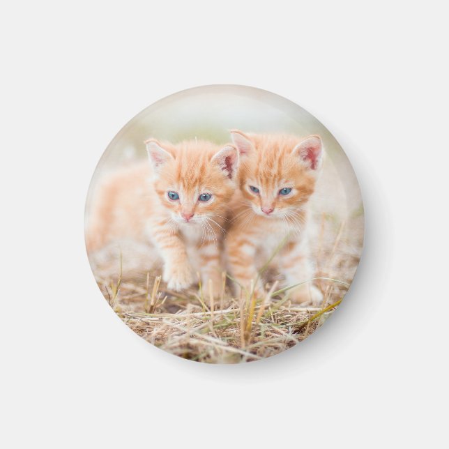 Kitten, röd, två magnet (Framsidan)