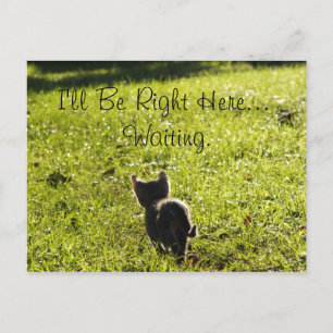 Kitten "Saknar dig"-vykort Vykort