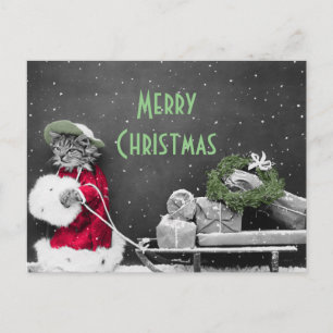 Kitten Santa och Sled från Paket Helg Vykort