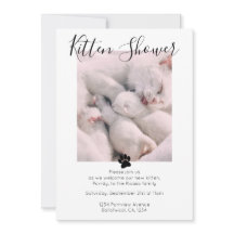 Kitten Shower Cute Personlig Cat Adoption