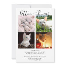 Kitten Shower Cute Personlig Cat Adoption