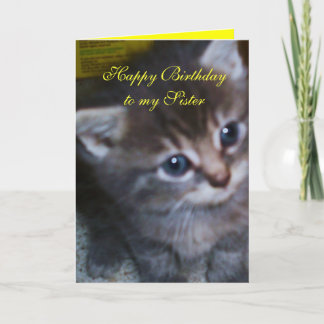 KITTEN, SISTER BIRTHDAY-KORT KORT