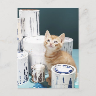 Kitten sitta bland färgtoner vykort