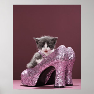 Kitten sitta i glitter-skor poster