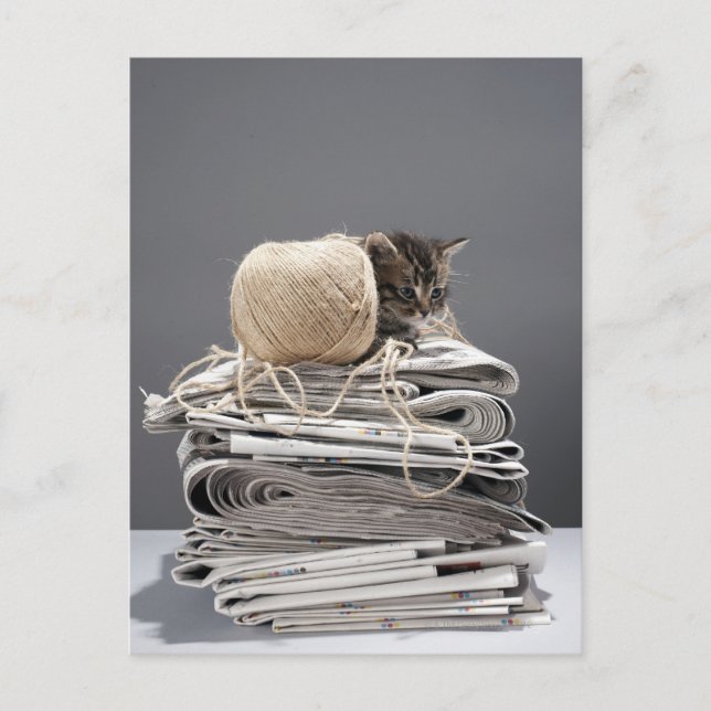 Kitten sitta om tidningsspalten vykort (Framsida)