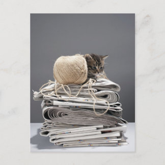Kitten sitta om tidningsspalten vykort