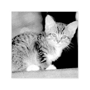 Kitten Självfärgande Stämpel