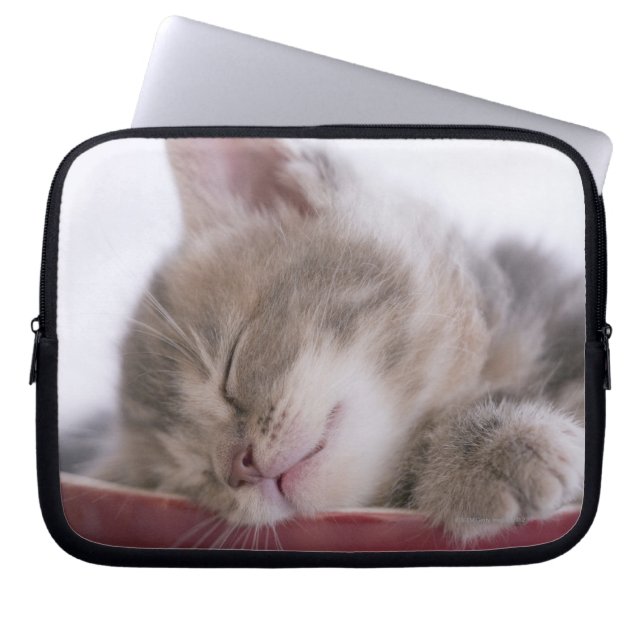 Kitten Sleeping in Bowl 2 Laptop Sleeve (Framsidan)