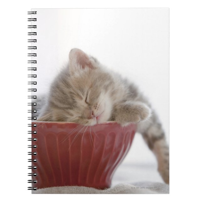 Kitten Sleeping in Bowl Anteckningsbok Med Spiral (Framsidan)