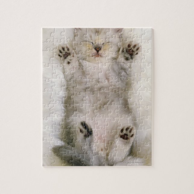 Kitten Sleeping on a White Fluffy Carpet, High Pussel (Vertikal)