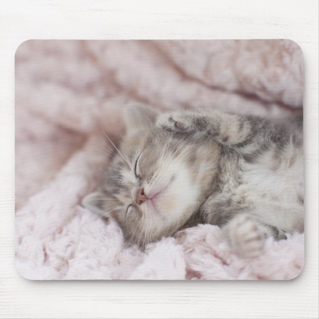 Kitten Sleeping på Towel Musmatta (Framsidan)