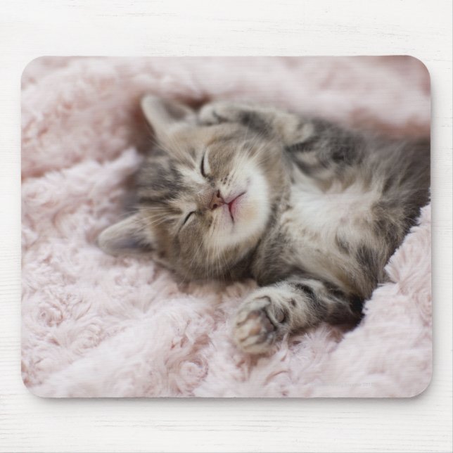 Kitten Sleeping på Towel Musmatta (Framsidan)