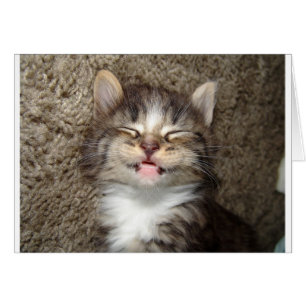 Kitten Smile Hälsningskort
