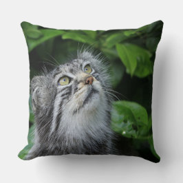 Kitten som säger en bön kudde