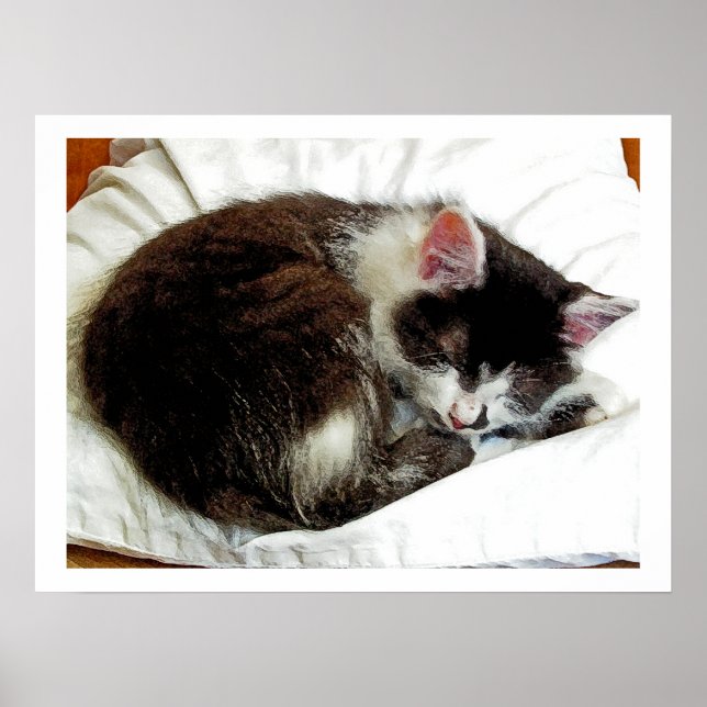 Kitten sov på White Comforter Poster (Framsidan)