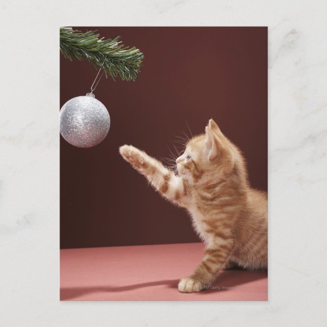 Kitten spelar med ornament vykort (Framsida)