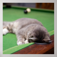 Kitten Spelay Bassäng