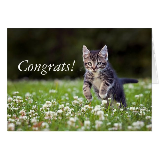 Kitten springer genom Klöver Hälsningskort (Framsidan Horizontal)