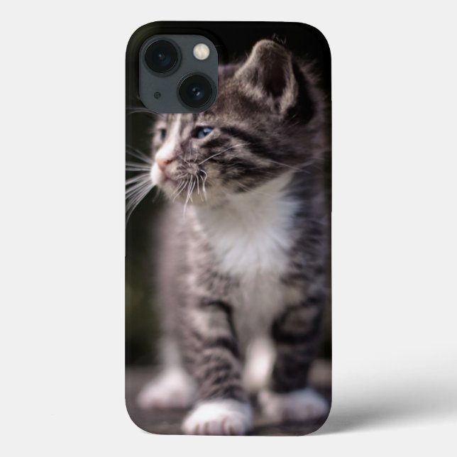 Kitten Ständiga Tall (Baksida)